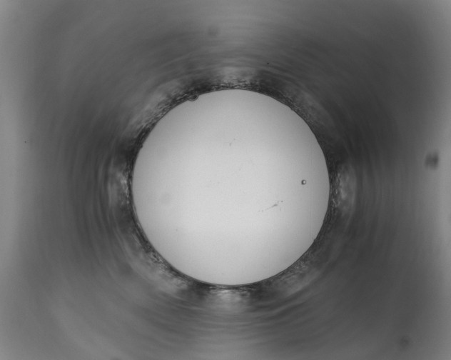X0000115000522200911091401
