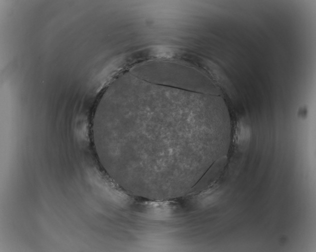 X0000115000524200911091401