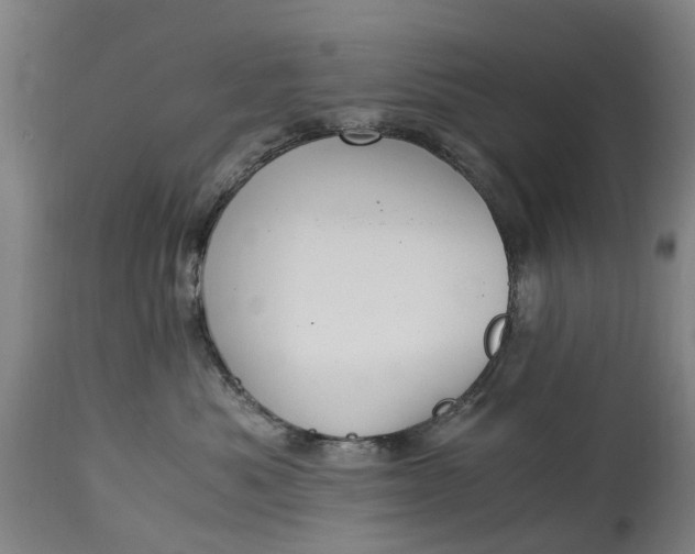 X0000115000525200911091401