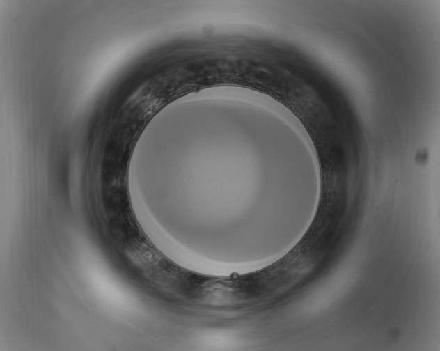 X0000115000526200911091401