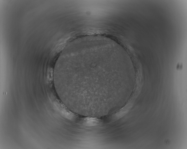 X0000115000528200911091401