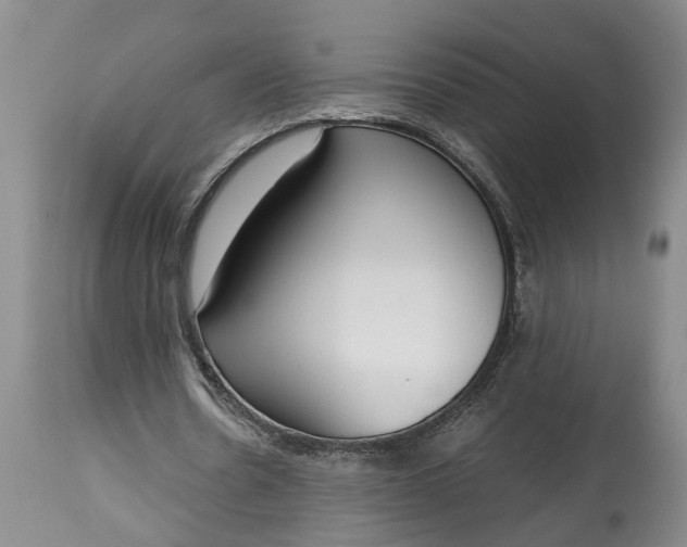 X0000115000530200911091400