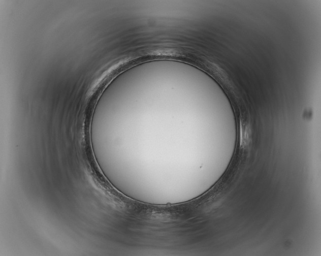 X0000115000531200911091400
