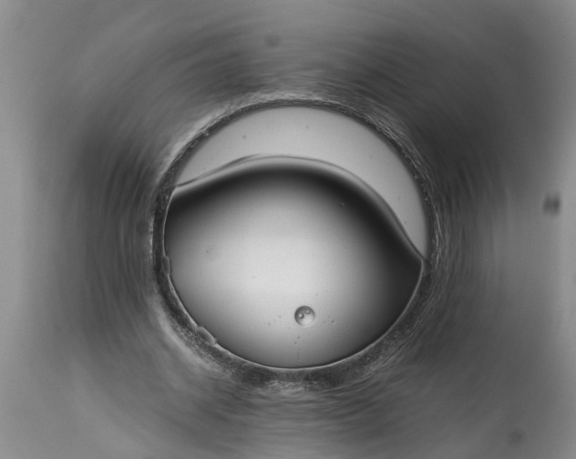 X0000115000534200911091400