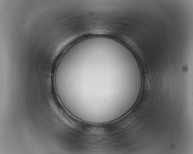 X0000115000535200911091400
