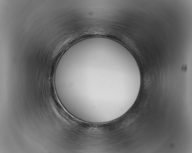 X0000115000538200911091400