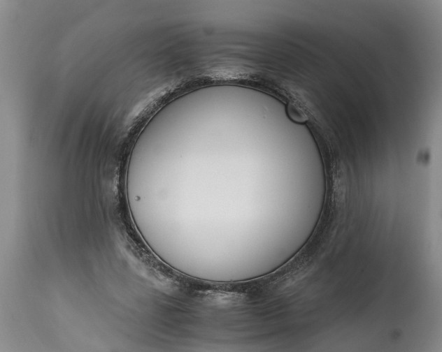 X0000115000539200911091400