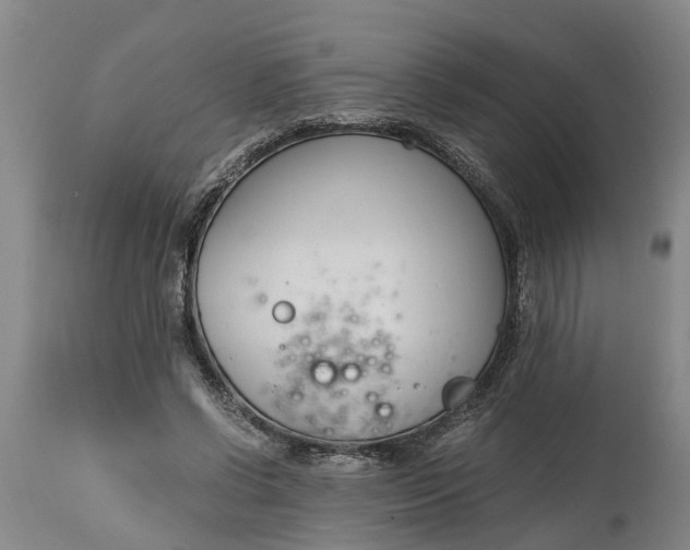 X0000115000542200911091400