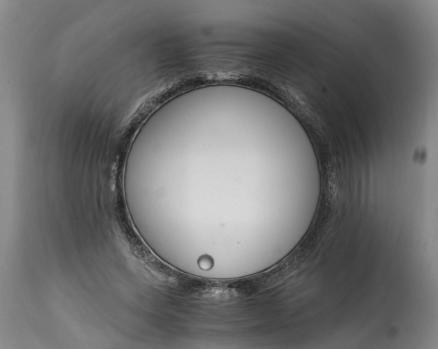 X0000115000543200911091400