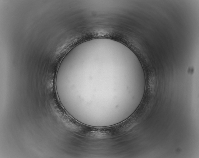 X0000115000545200911091400