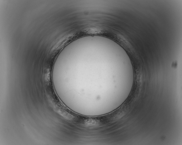 X0000115000549200911091400