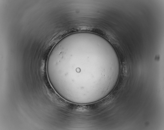 X0000115000550200911091400