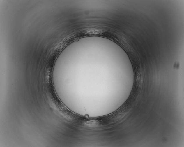 X0000115000551200911091400