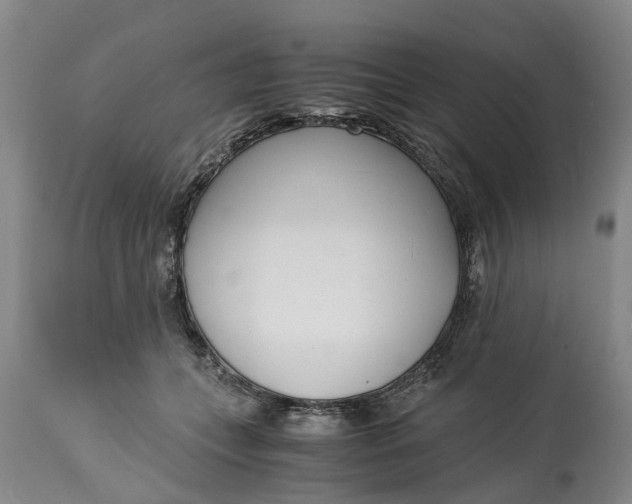 X0000115000559200911091400