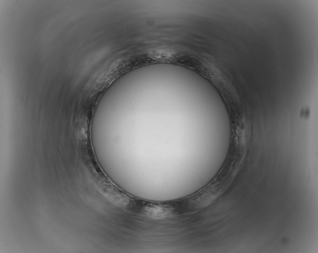 X0000115000561200911091400