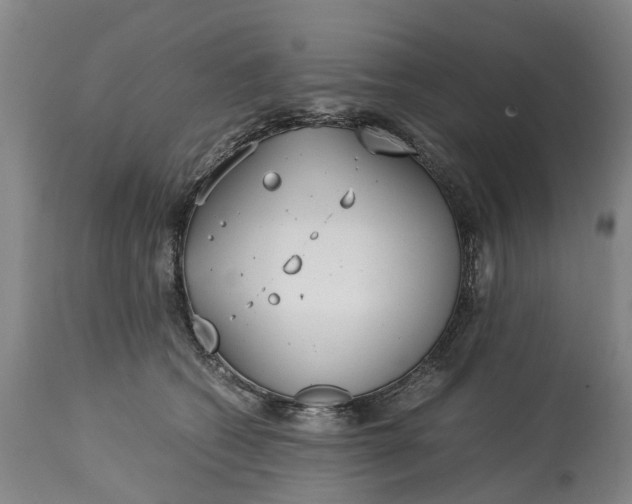 X0000115000562200911091400