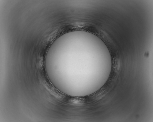 X0000115000563200911091400