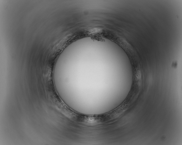X0000115000565200911091400