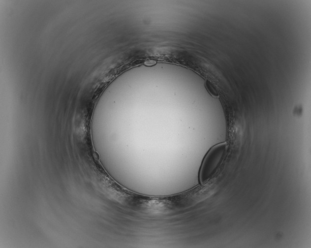 X0000115000566200911091400