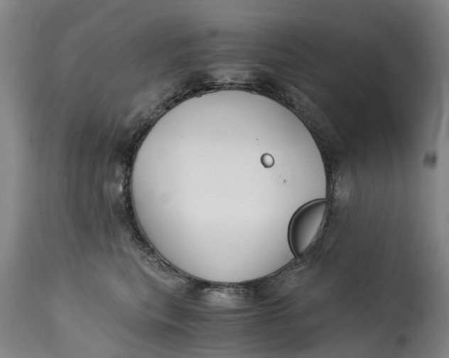 X0000115000567200911091400
