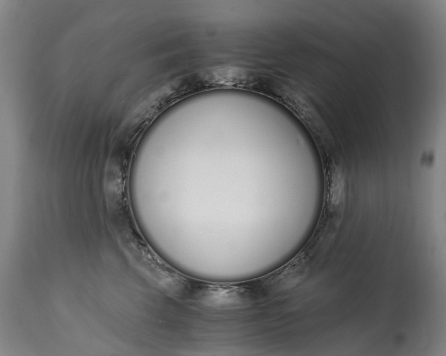 X0000115000569200911091400