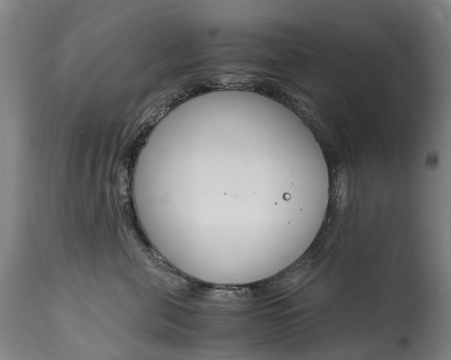 X0000115000571200911091400