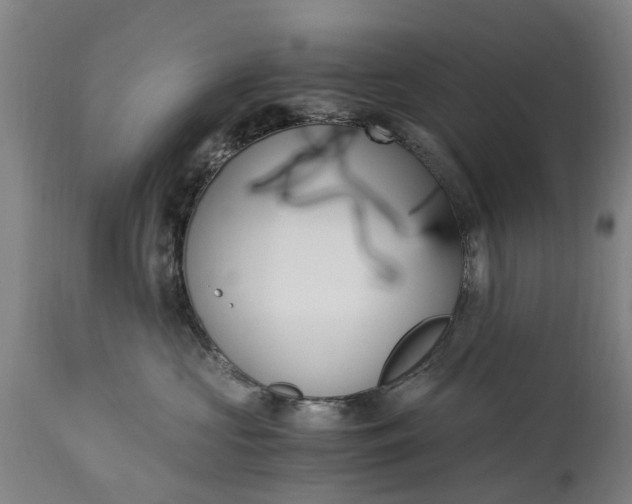 X0000115000573200911091400