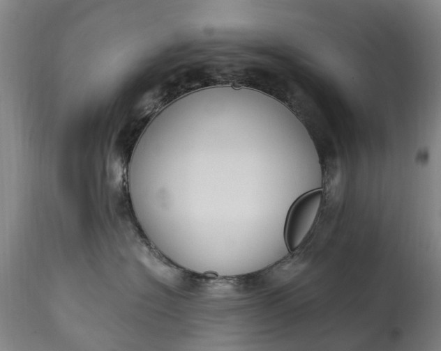 X0000115000574200911091400