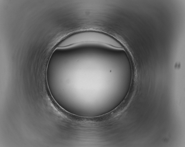 X0000115000577200911091400