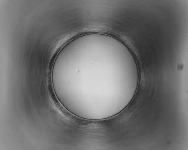 X0000115000578200911091400