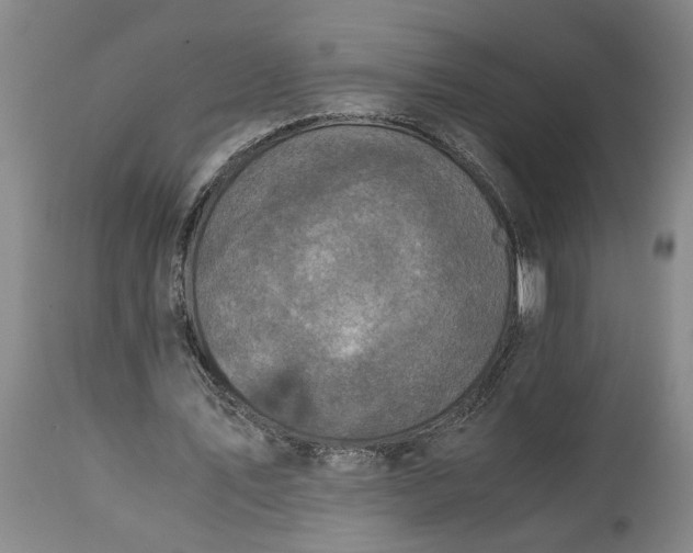 X0000115000579200911091400