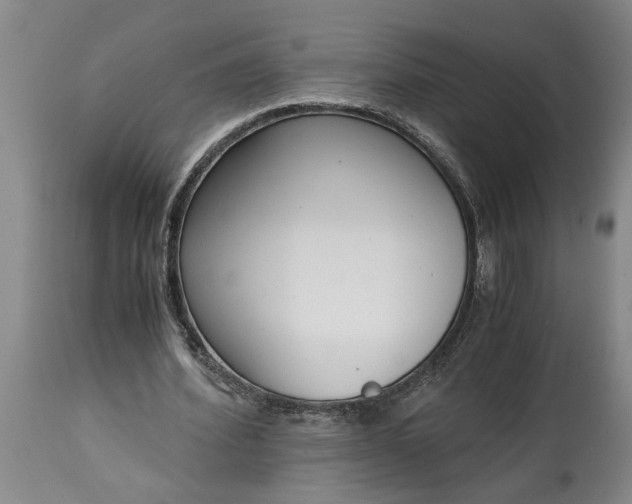 X0000115000580200911091400