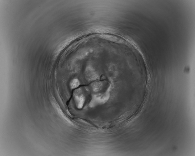 X0000115000581200911091400