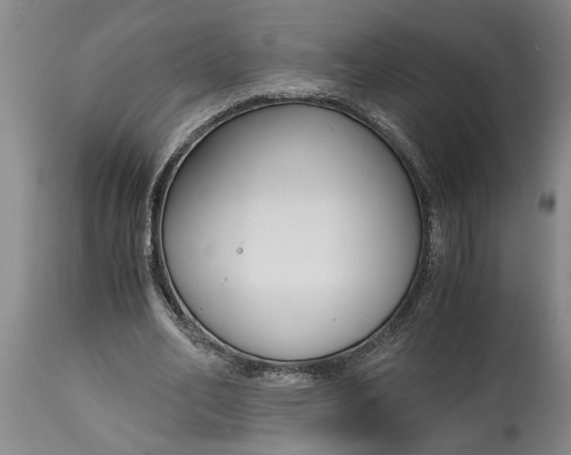 X0000115000582200911091400