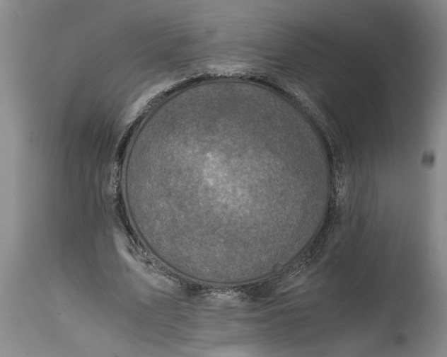 X0000115000583200911091400