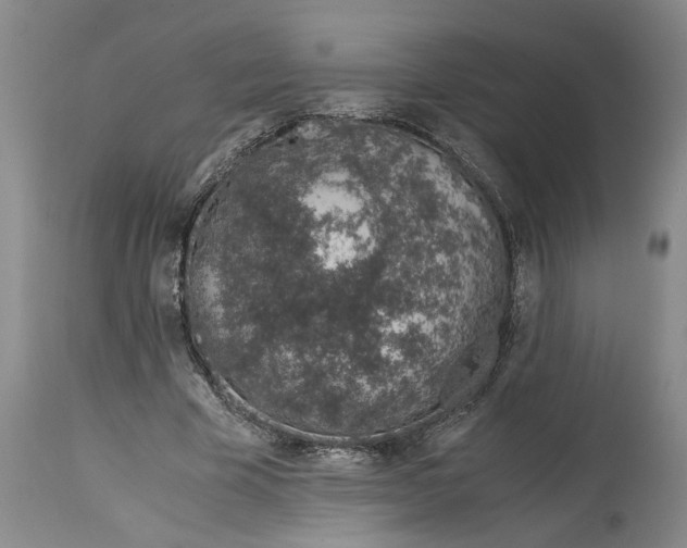 X0000115000585200911091400