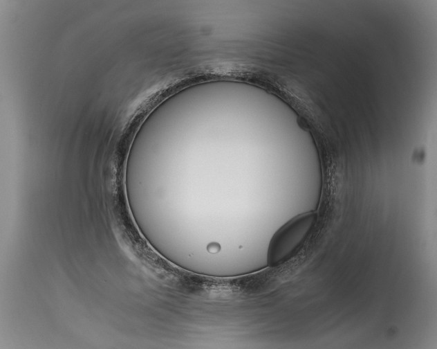 X0000115000587200911091400