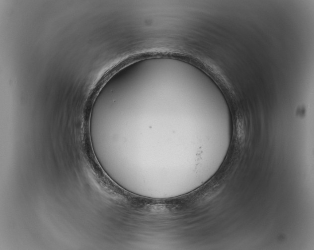 X0000115000588200911091400