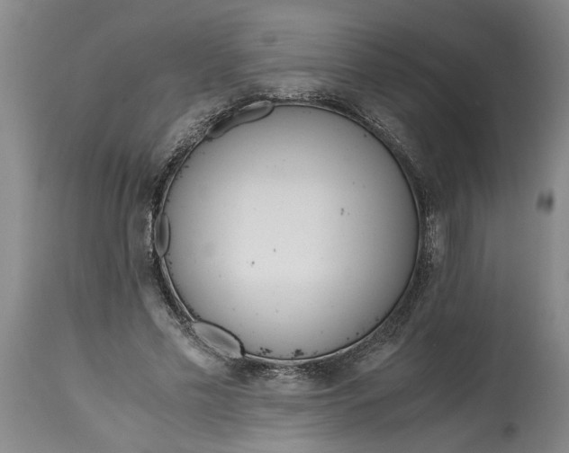 X0000115000589200911091400
