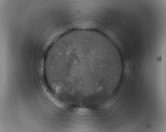 X0000115000590200911091400