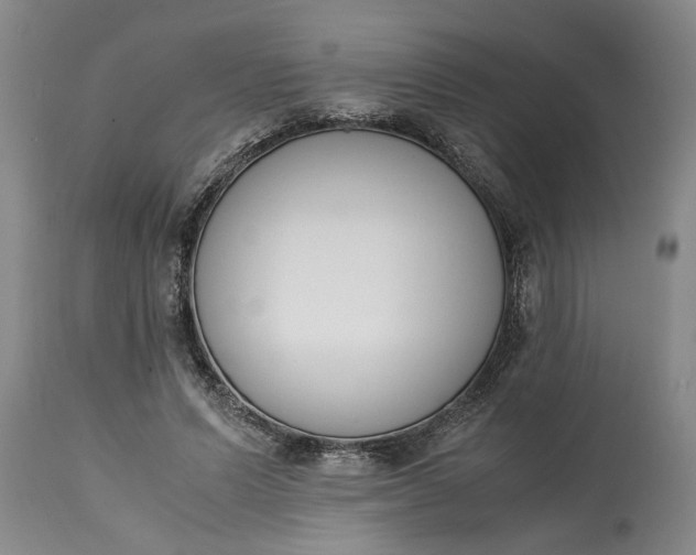 X0000115000591200911091400