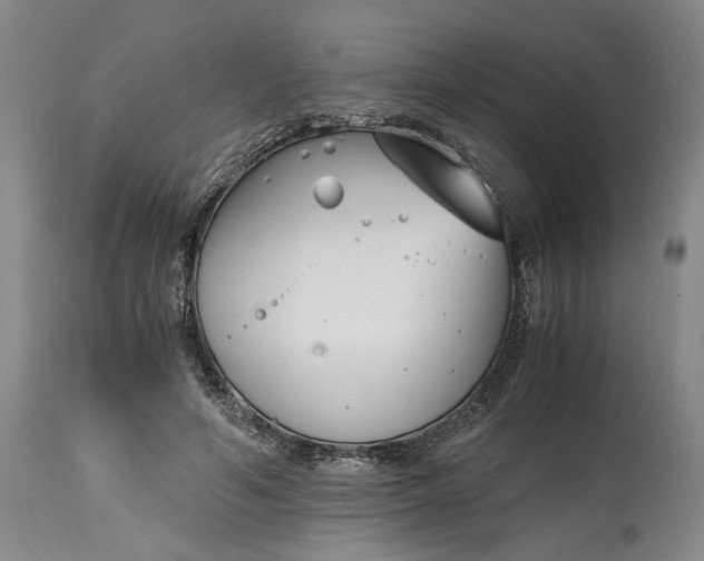 X0000115000594200911091400