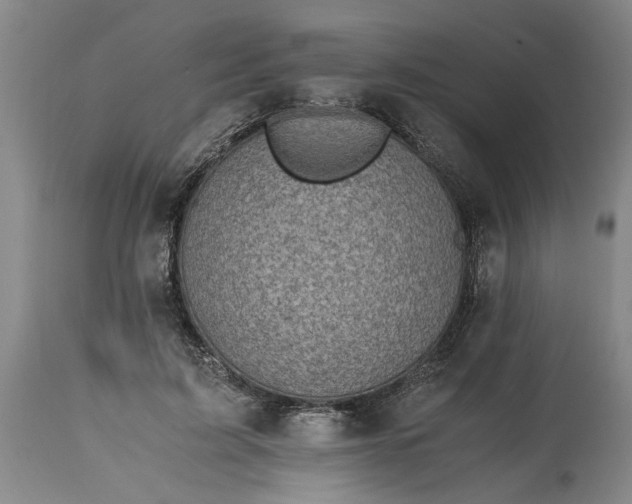 X0000115000595200911091400