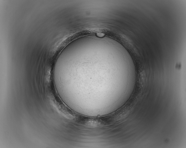 X0000115000596200911091400
