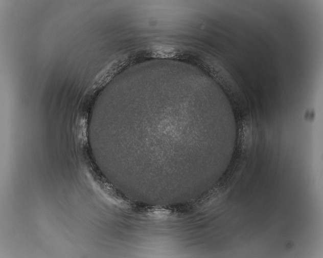 X0000115000598200911091359
