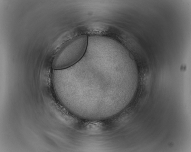 X0000115000599200911091359