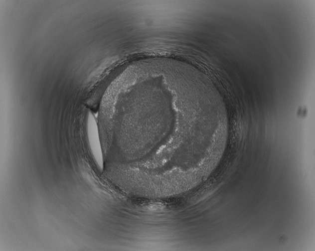 X0000115000600200911091359