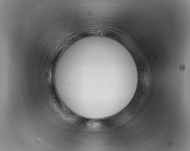 X0000115000602200911091359