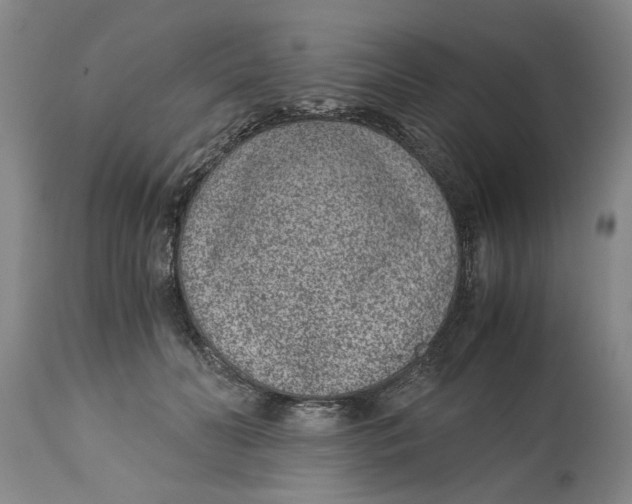 X0000115000606200911091359