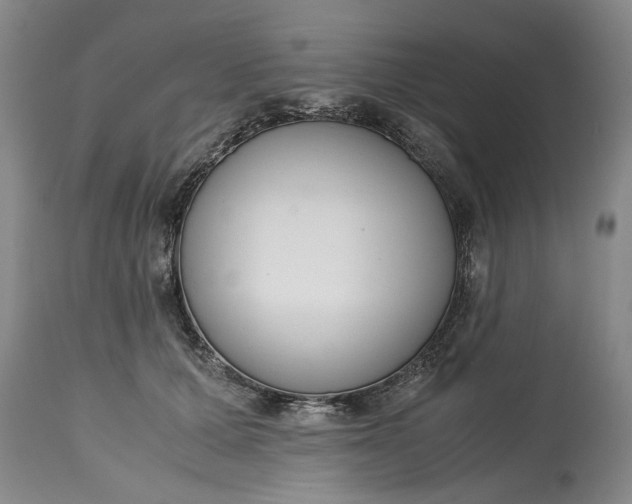 X0000115000607200911091359
